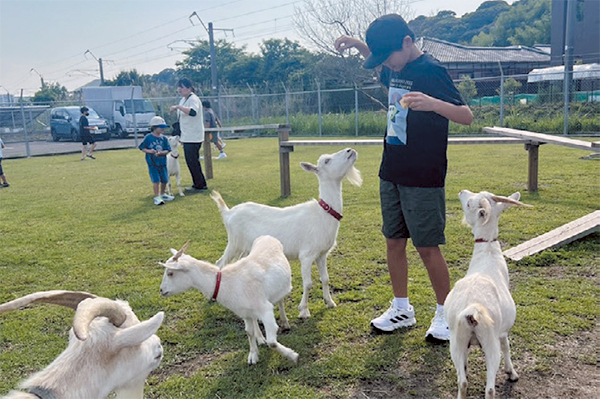 ヤギパーク
DBCトータルサポート
テーマパーク
遊休地