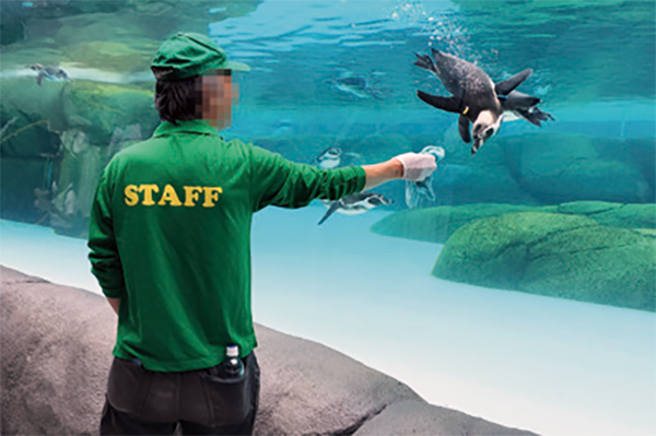 #フランチャイズ
#就労支援
#ワンダーフレンズ